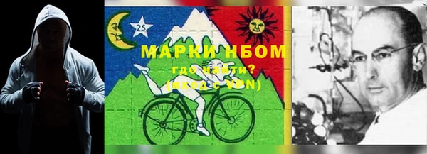 таблы Гусев