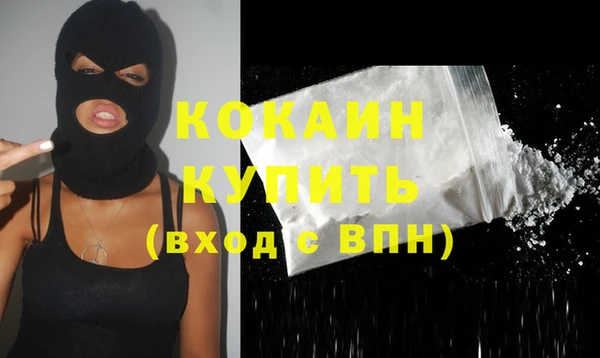 таблы Гусев
