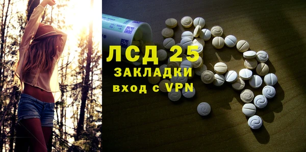таблы Гусев