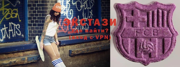 таблы Гусев