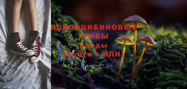 таблы Гусев
