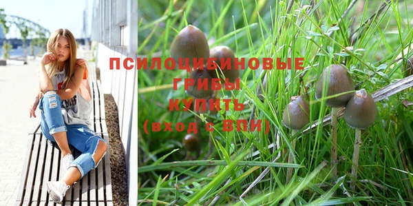 кокс Гусиноозёрск