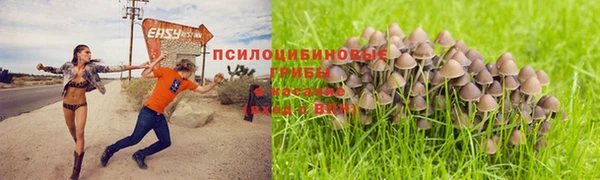 кокс Гусиноозёрск