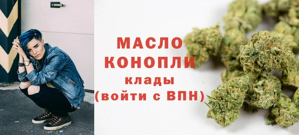 твердый Гусь-Хрустальный
