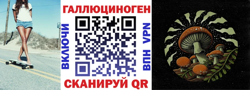 купить   Томилино  Псилоцибиновые грибы прущие грибы 